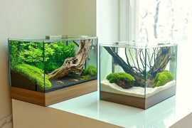 Aquascaping with Different Types of Tank
