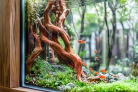 Crafting a Masterpiece in a 20×20 Aquascape: Expert Tips and Tricks for Small-Space Aquascaping