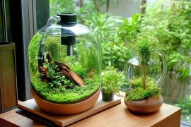 Essential Tools and Materials for Aquascaping