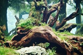 Hidden Treasures: Aquascaping with Sunken Ornamental Pieces