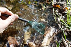 Setting up a Skimmer in Your Aquascape Pond