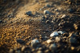 Soil vs. Sand vs. Gravel: What I’ve Discovered After Testing 20+ Substrates