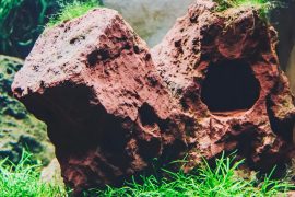 Techniques for Making Fake Rocks for Aquascaping